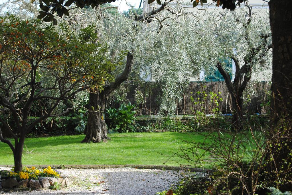 Bed and Breakfast Casa Simonetti Torre del Lago Puccini Exterior foto